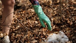 Вывоз мусора контейнер в ЮЗАО