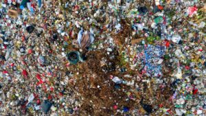 Заказать контейнер для вывоза мусора в Вереях